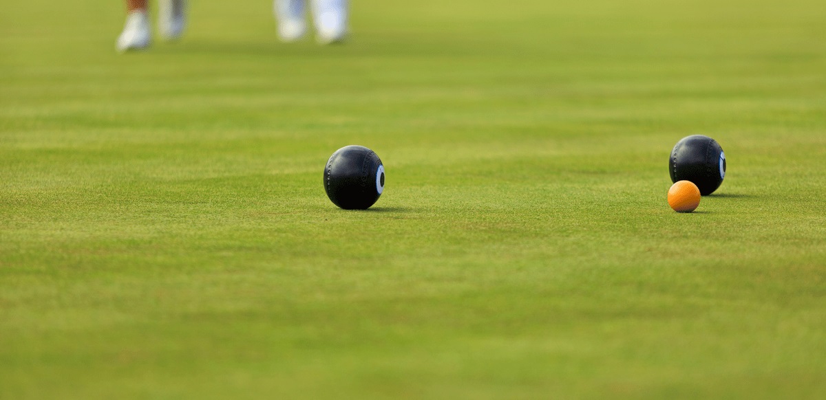 ddbowls
